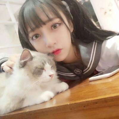 非人类学园官方下载